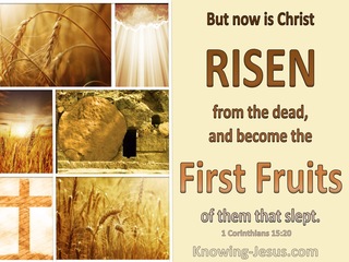 1 Corinthians 15:20 Christ Is Risen The Firstfruit Of Them That Slept (beige)